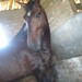 Juan Lucero Photo 7