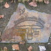 Sandy Shaw Photo 16