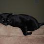 Tammy Do Photo 42
