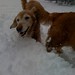 Brady Bailey Photo 5