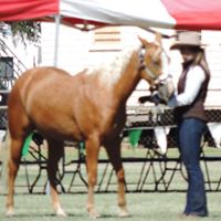 Ellen Davidson Photo 20