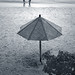 Wo Mei Photo 3