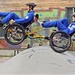 Stefan Fleischer Photo 9