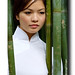 Nhu Tang Photo 4