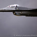 David Graham Photo 2