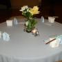 Nancy Spivey Photo 10