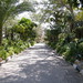 Samir Habib Photo 4