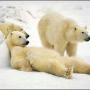 Dale Grimm Photo 21