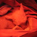 Theresa Lamb Photo 7