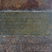 Lynn Nicholas Photo 7