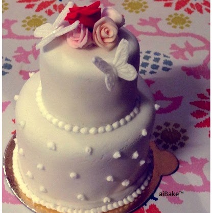 Aida Shah Photo 14