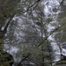 Helen Davis Photo 12