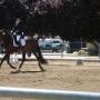 Kristin Mccarty Photo 20