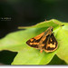 Kelvin Fielding Photo 8