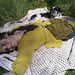 Josh Shih Photo 3