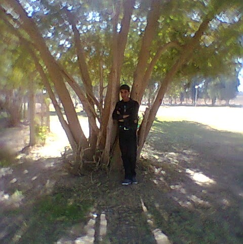 Ahmed Darragi Photo 2