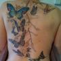 Janet Picone Photo 7