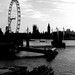Ewan Crane Photo 2