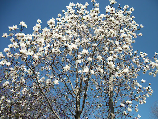 Marjorie Green Photo 21
