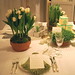 David Monn Photo 2