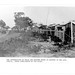 Ted Miles Photo 13
