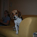 Catherine Beagle Photo 7