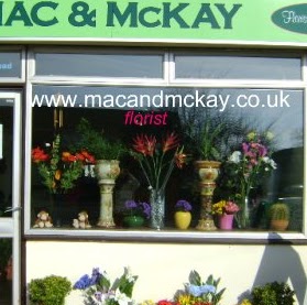 Alison Mckay Photo 26