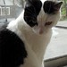 Lorraine Lemieux Photo 5