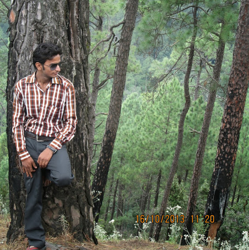 Shaleen Srivastava Photo 8
