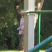 Ron Leggett Photo 11