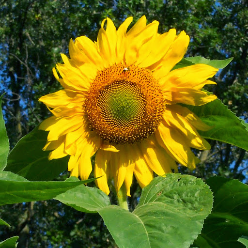 Sherry Marquardt Photo 2