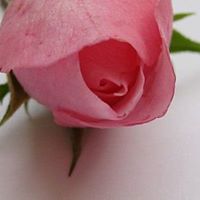 Kiran Sajid Photo 5
