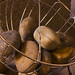 Rick Holland Photo 4