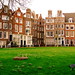 John Singel Photo 6
