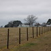 Mary Frey Photo 8