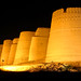 Raja Shaw Photo 3