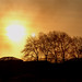 Javier Caneda Photo 3