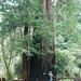Lisa Peterson Photo 18