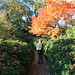 Melissa Oaks Photo 8