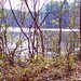 Garner Wood Photo 4