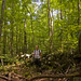 Scott Stack Photo 10