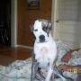 Kathy Mathis Photo 15