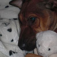 Anne Haney Photo 15