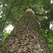 Lynn Koop Photo 4