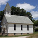 Scott Steedman Photo 1
