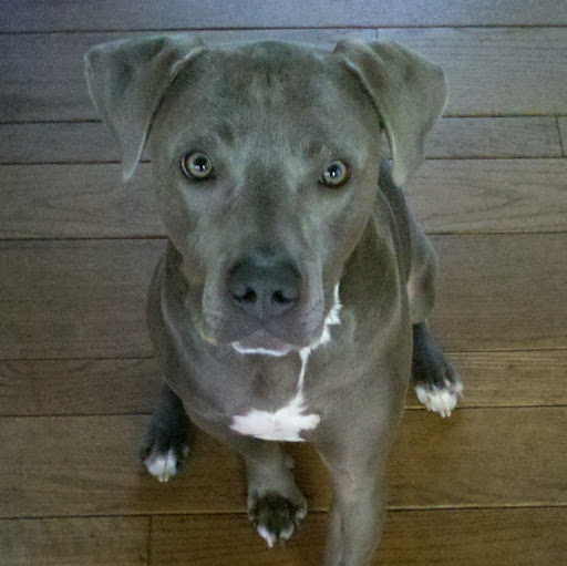 Brodie Harvey Photo 12