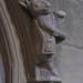Carol White Photo 14