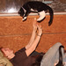 Robert Ebright Photo 10