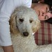 Christine Bailey Photo 9