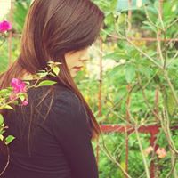 Bich Loc Photo 2